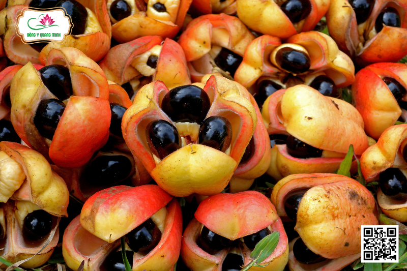 A Kê - Blighia Sapida Koenig