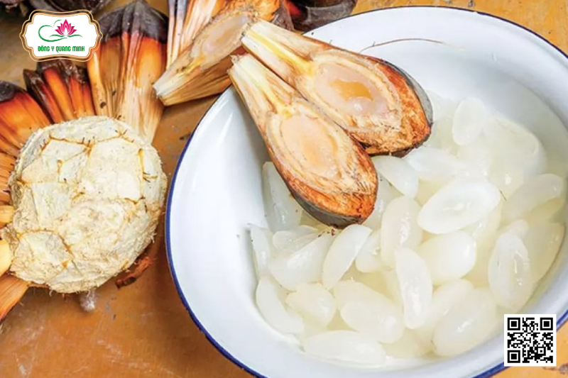 Dừa Nước (Dừa Lá) - Nypa Fruticans Wurmb