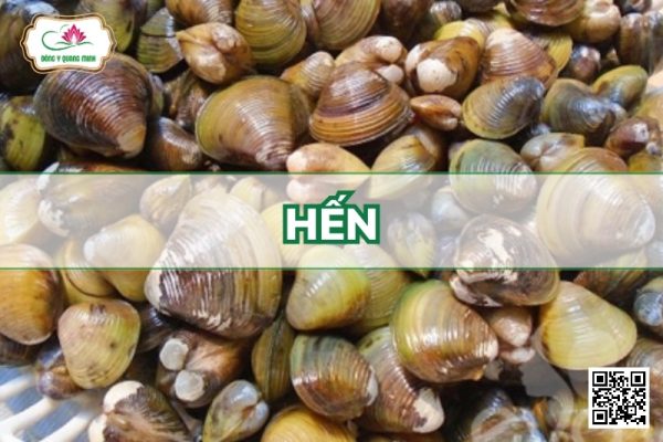 Hến - Corbicula Cyreniformis Prime