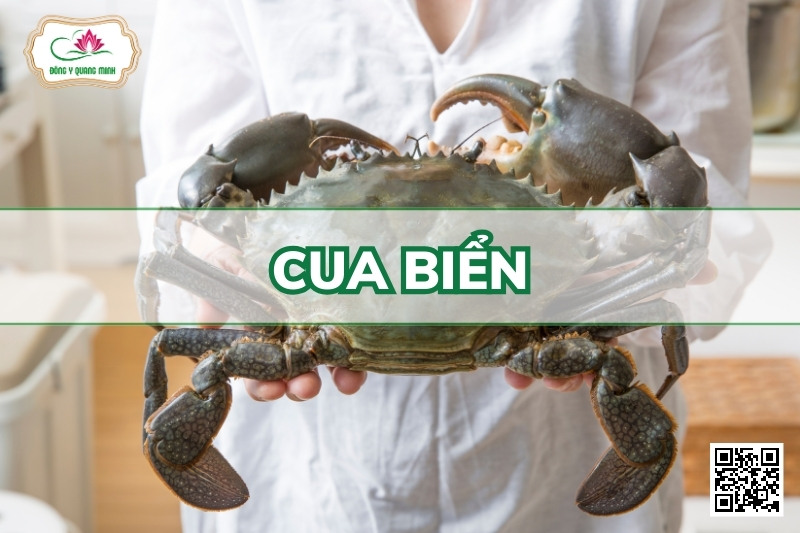 Cua Biển - Scylla Serrata Forskal
