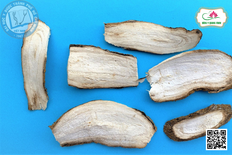 Sắn Dây - Pueraria Thomsonii, Fabaceae