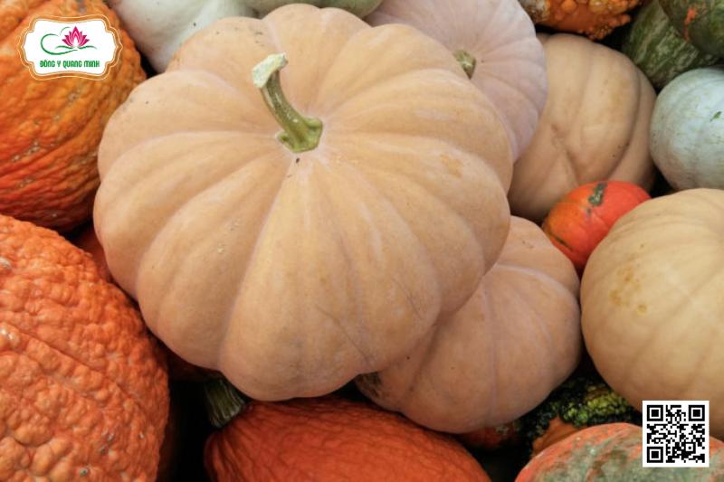 Bí Ngô – Cucurbita Pepo, Cucurbitaceae