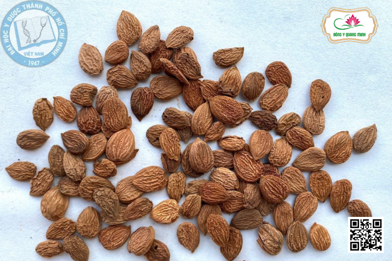 Đào - Prunus Persica, Rosaceae