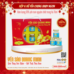 Hộp quà yến sào - Set 6 Hũ Yến Chưng Baby Ngon (30% Tổ Yến Nguyên Chất)