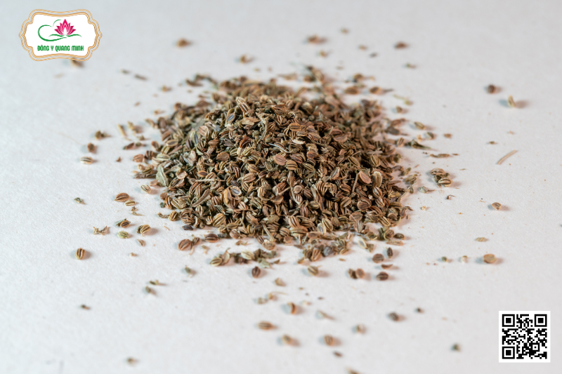 Cnidium monnieri (L.) Cuss