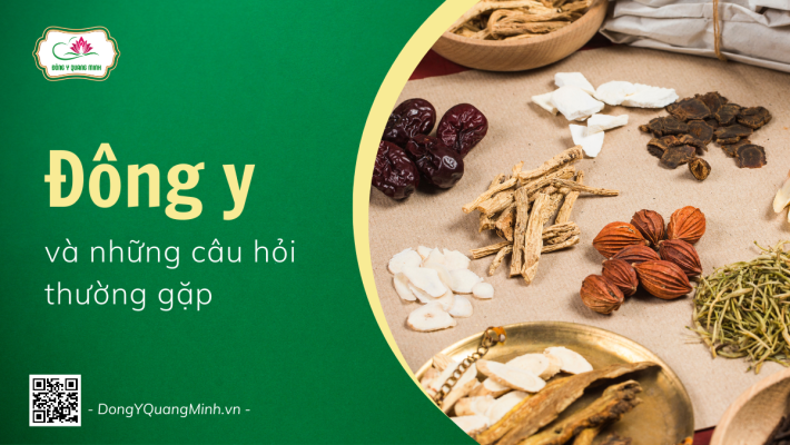 12 Câu Hỏi Thường Gặp Về Đông Y
