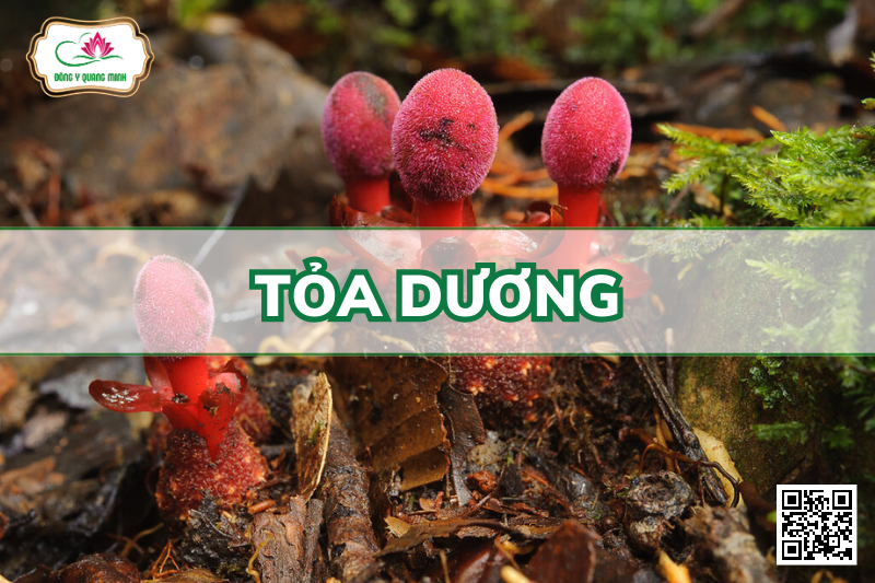 Tỏa dương (Ngọc cẩu)