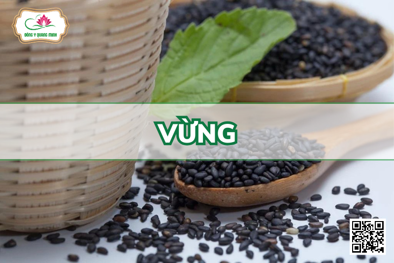 Vừng (Du Tử Miêu)