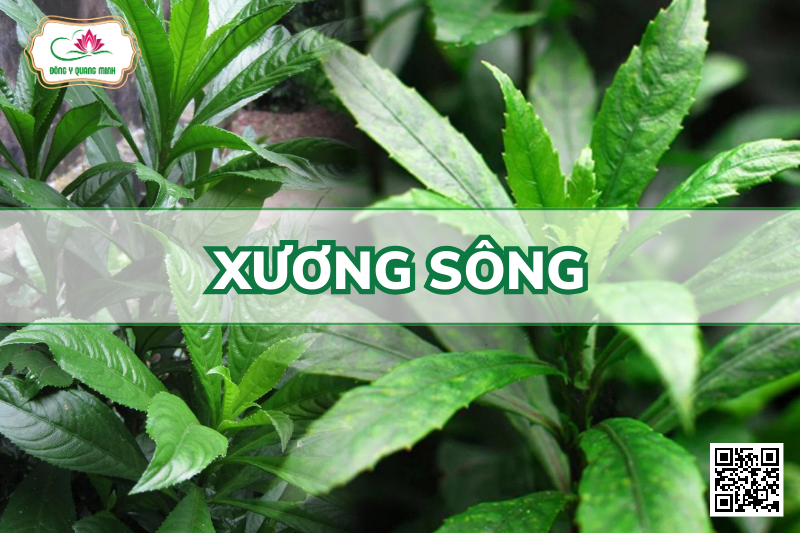 Xương sông