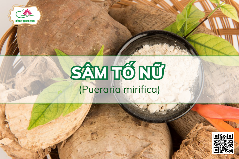 sâm tố nữ