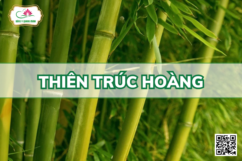 Thiên trúc hoàng