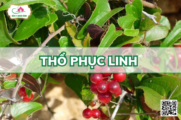 Thổ Phục Linh