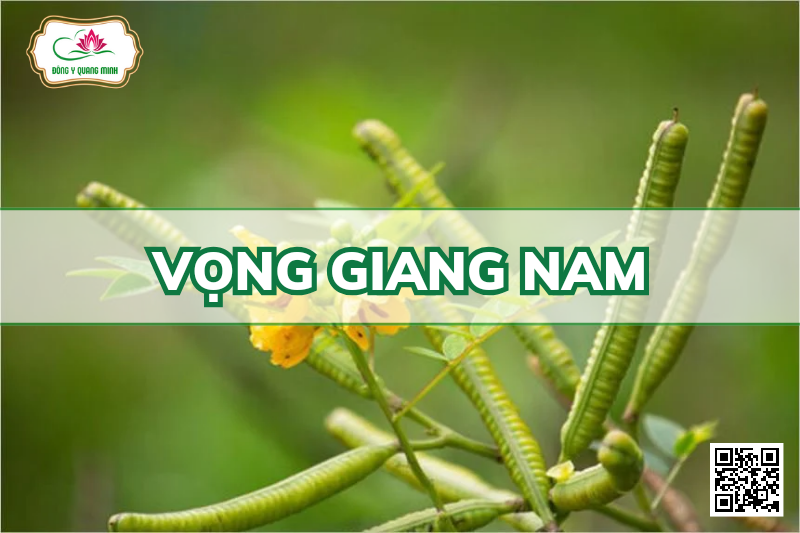 Vọng giang nam