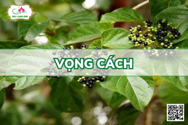 Vọng cách