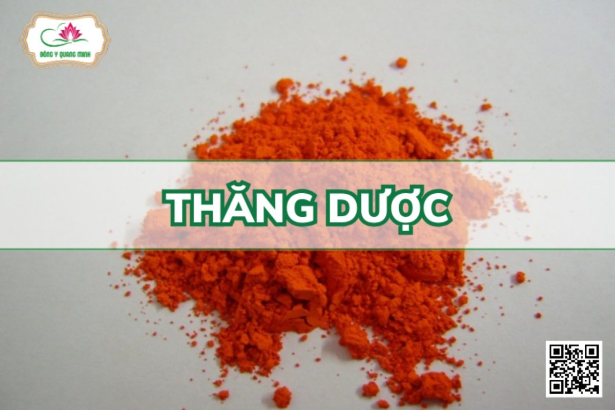 Thăng dược