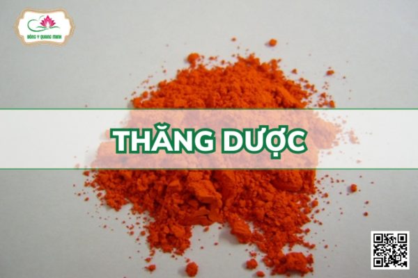 Thăng dược