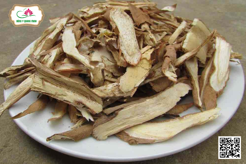 Củ Gai - Vị Thuốc Đa Công Dụng Trong Đông Y