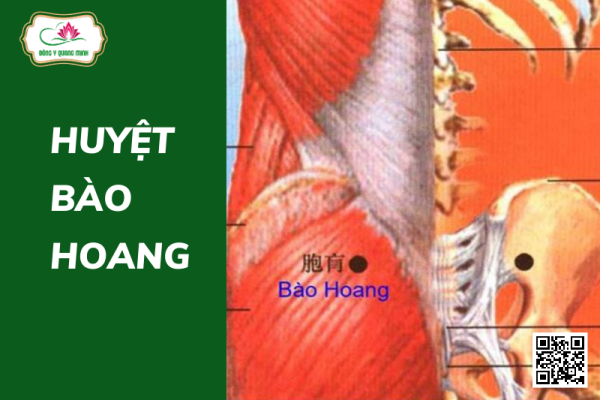 Huyệt Bào Hoang