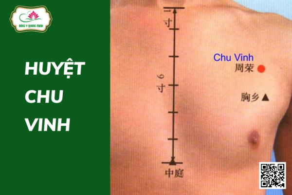 Vị Trí Và Tác Dụng Của Huyệt Chu Vinh