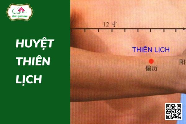 Huyệt Thiên Lịch Nằm Ở Đâu? Có Tác Dụng Gì?