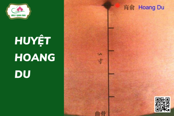 Những Điều Cần Biết Về Huyệt Hoang Du