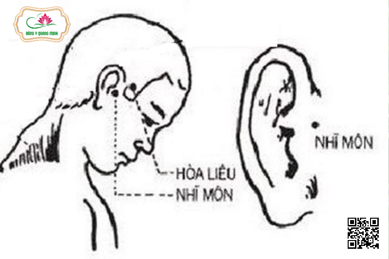 Huyệt Hòa Liêu Nằm Ở Đâu Và Có Tác Dụng Gì?