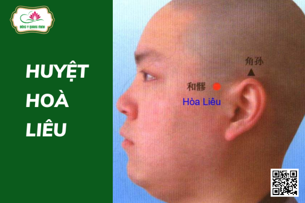 Huyệt Hòa Liêu Nằm Ở Đâu Và Có Tác Dụng Gì?