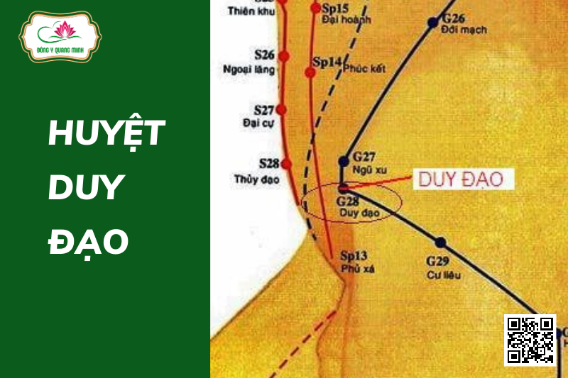 Huyệt Duy Đạo Và Những Điều Cần Biết