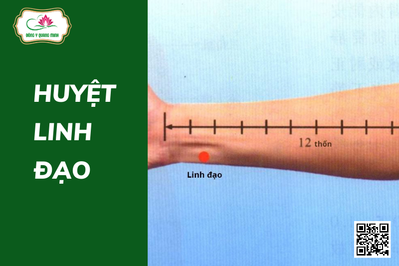 Huyệt Linh Đạo – Vị Trí Và Tác Dụng Điều Trị Bệnh