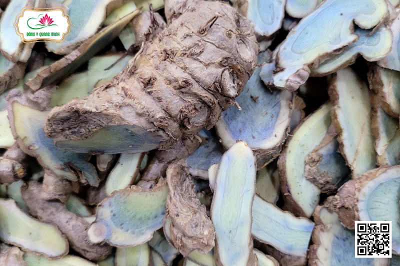 Nghệ Đen - Đặc Điểm, Tác Dụng Và Bài Thuốc Trị Bệnh