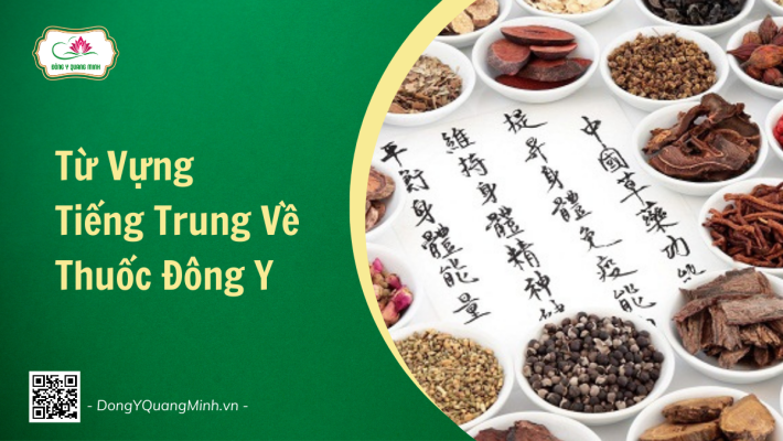 Từ Vựng Tiếng Trung Về Thuốc Đông Y Bạn Nên Biết