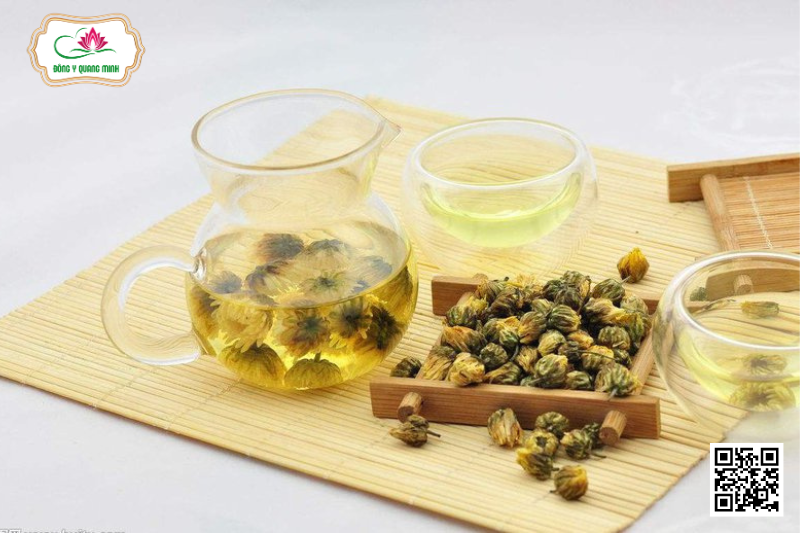 Cúc Hoa Vàng – Lợi Khí Huyết, Giúp Trẻ Lâu