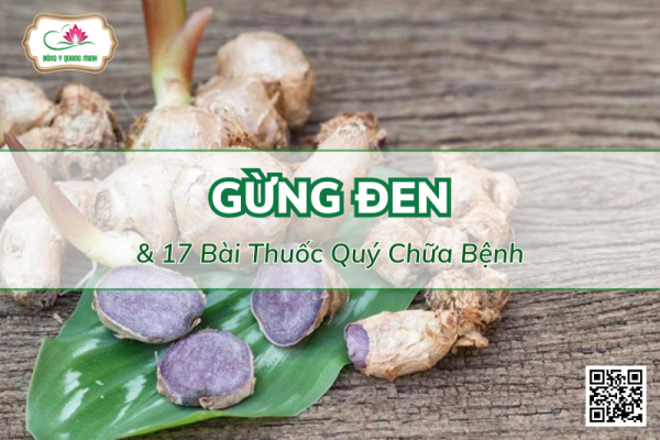 17 Bài Thuốc Quý Chữa Bệnh Từ Gừng Đen