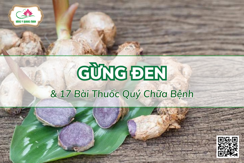 17 Bài Thuốc Quý Chữa Bệnh Từ Gừng Đen