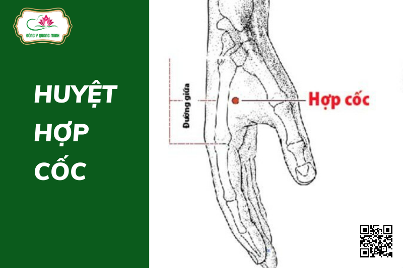 Huyệt Hợp Cốc Nằm Ở Đâu? Có Tác Dụng Gì?