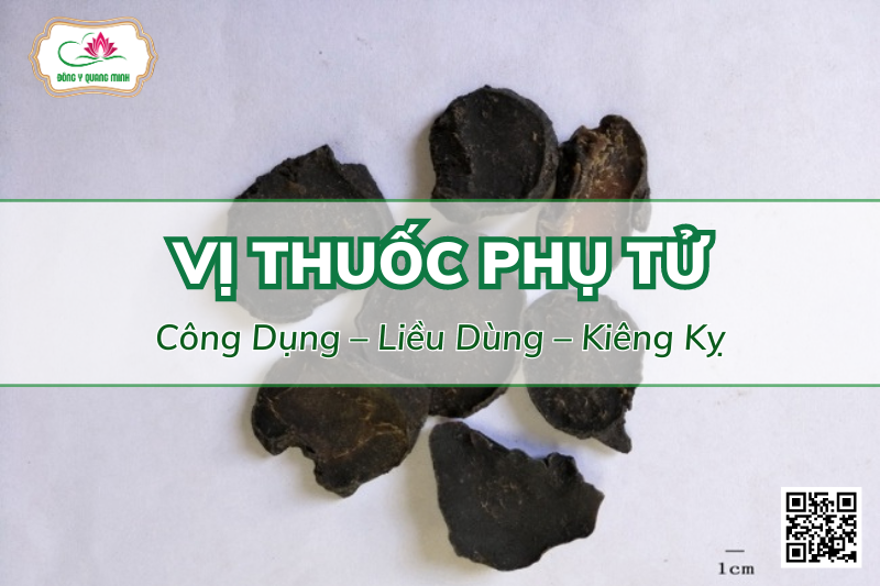 phụ tử
