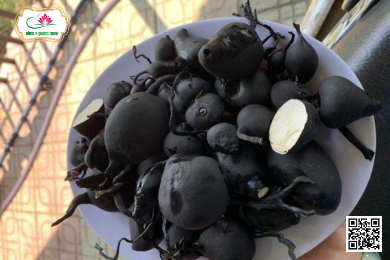 Sâm Ô Linh – Loại Sâm Quý Có Nguồn Gốc Từ Trung Quốc