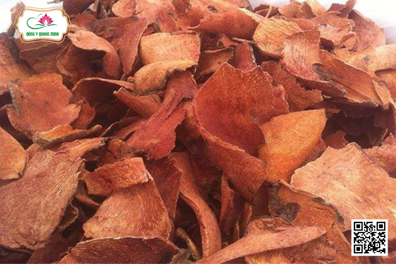 Các Bài Thuốc Chữa Đau Nhức Xương Khớp Từ Thổ Phục Linh