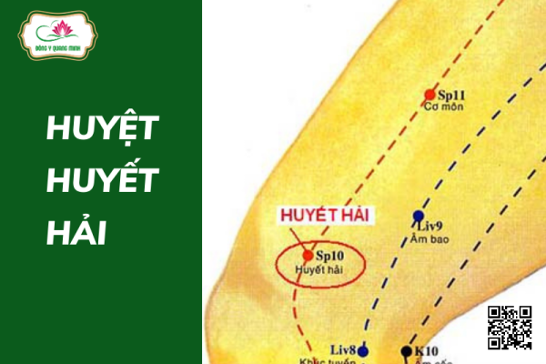 Huyệt Huyết Hải