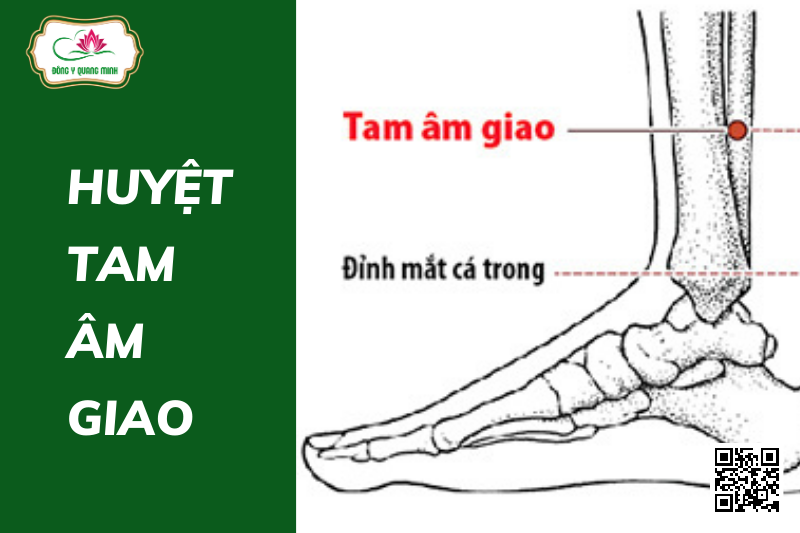 Huyệt tam âm giao