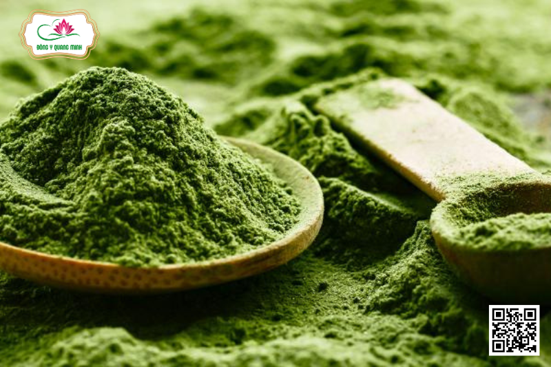 Bèo Tấm - Loại Bèo Chuyên Nuôi Cá, Nay Trở Thành Siêu Thực Phẩm