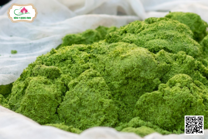 Bèo Tấm - Loại Bèo Chuyên Nuôi Cá, Nay Trở Thành Siêu Thực Phẩm