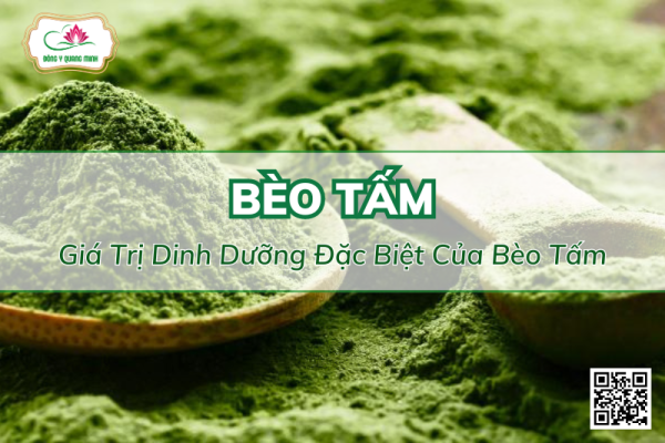 Giá Trị Dinh Dưỡng Đặc Biệt Của Bèo Tấm