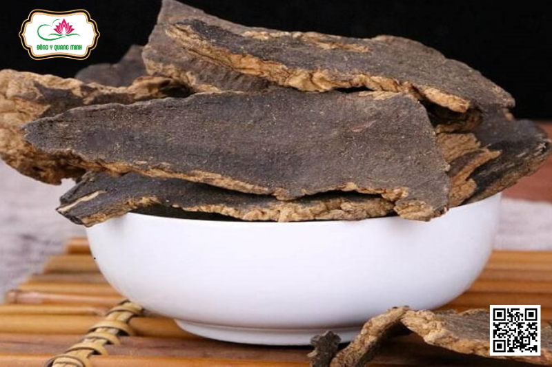 Cây Huyền Sâm - Vị Thuốc Bổ Âm, Giải Độc Tiêu Viêm