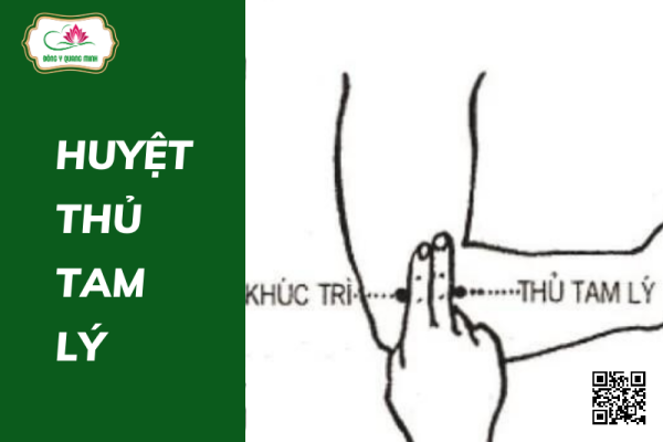 huyệt Thủ Tam Lý