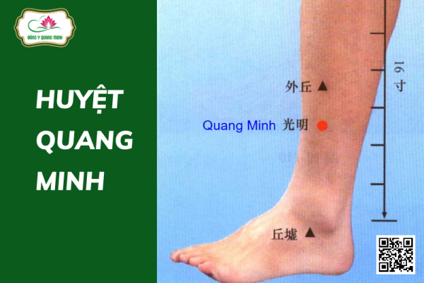 Vị Trí Và Tác Dụng Của Huyệt Quang Minh
