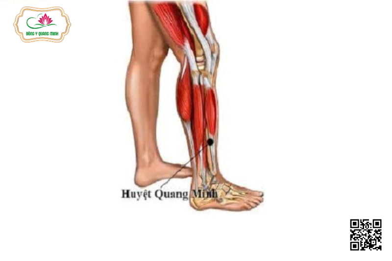 Vị Trí Và Tác Dụng Của Huyệt Quang Minh