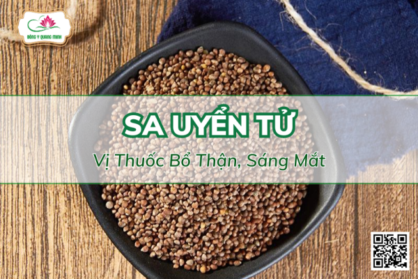 Vị Thuốc Bổ Thận, Sáng Mắt