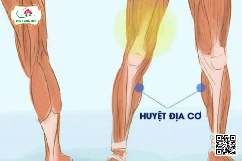 Huyệt Địa Cơ – Vị Trí, Tác Dụng Và Cách Khai Thông Huyệt