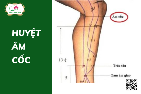 Huyệt Âm Cốc